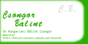 csongor balint business card