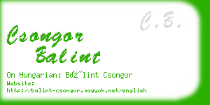 csongor balint business card